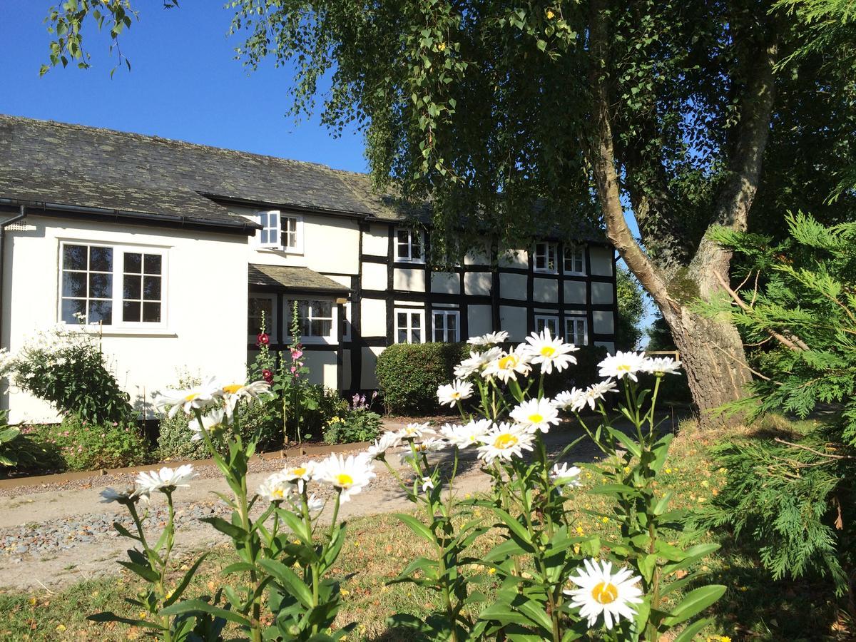 Yew Tree Cottage Leominster Exteriér fotografie